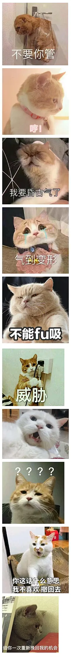 有哪些特别萌，特别可爱的表情包？
获取方式戳图9哟~ ​​​​