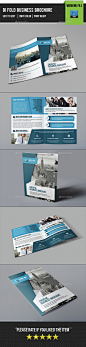Corporate Bifold Brochure-V370 - Corporate Brochures