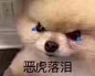 评论放男生的自拍，长得帅又肯分享的男孩子太少了 男孩子别客气啊，冲啊！