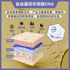 压梨山大采集到我的护肤小知识
