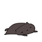 Cute Kittyz - Imgur