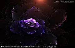 花朵抽象花朵鲜花花朵壁纸花纹背景图案花纹图案花朵装饰画花朵背景墙数码印花图案花卉手绘花花花朵印花绽放花朵分形花花朵海报