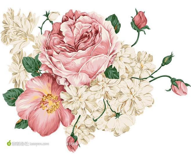 花朵花卉插画图片素材下载，现在加入素材公...