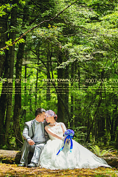 新都桥婚纱照—德翼堂摄影采集到康定婚纱照——绿光森林 ——德翼堂摄影客片分享