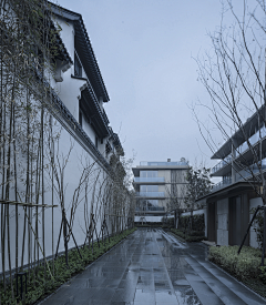 一横l采集到中式（巷道）