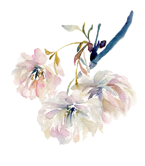 花花-花瓣网