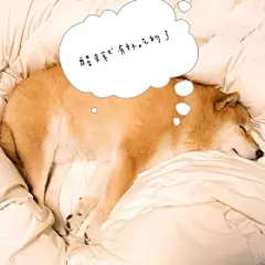 maru真的很适合做冬季表情包啊~~~~加字by 黄油相机app