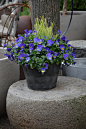 May-3-2014-7.jpg (3000×4496)