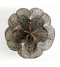 Bronwyn Oliver Sakura, 2006 copper 48 × 48 × 20cm: 