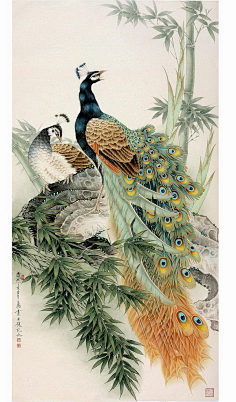 沧州工笔画——孔雀啊雪0000采集到孔雀采集nipic.