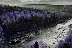 河流,紫色,幻想,地形,森林,彩色图片,薰衣草色,热,超现实主义的,云景