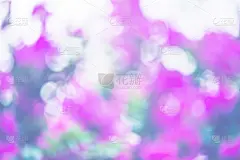 树木自然模糊背景散景。花叶模糊散