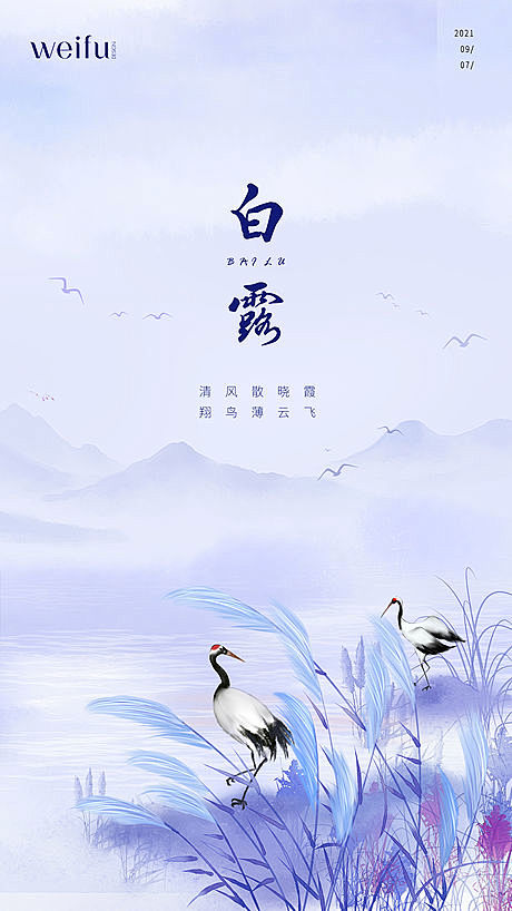 白露节气海报
