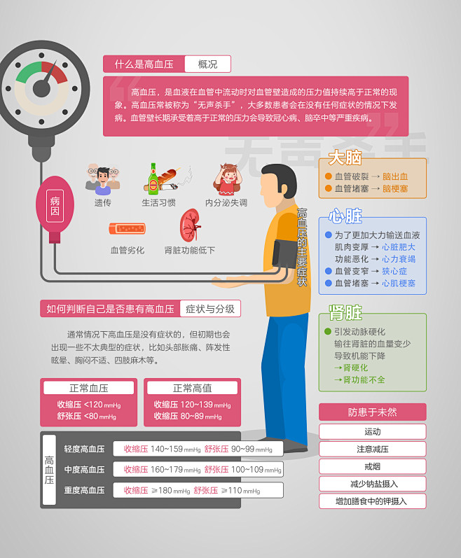 高血压的形成