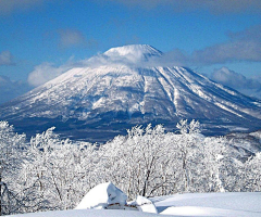 翠玉竹林采集到雪景