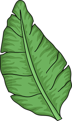 Sawmer采集到商业插画素材搜集