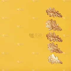 在黄色的纸上画着金属金色的橡树叶。秋天的贺卡。
