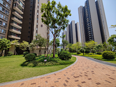 AT·sweet采集到居住区绿化