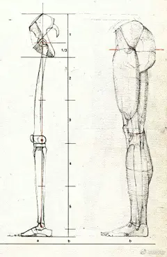 腿部结构膝盖的绘画解析，学画画素材分享（年轻人，怕爆肝吗？不怕就戳这里→：°欲学此课，必先成魔！九关过，业可成！） #手绘# #插画# ​​​​