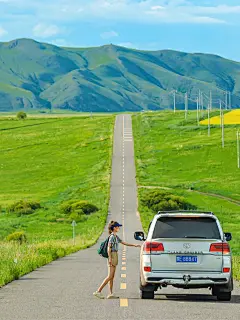 最美草原公路！20度的夏天一起去吸氧吧～