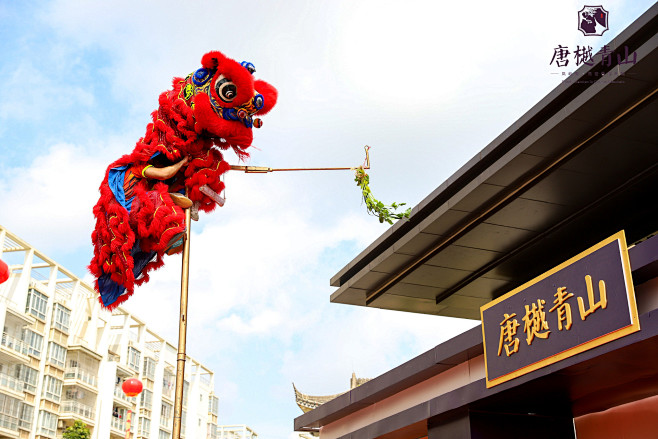 照片直播：梦回唐朝 倾城牡丹现场照片-南...