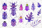 手绘风水彩甲虫蜻蜓飞蛾PNG免抠图设计素材设计素材-淘宝网