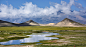 39056561754_21a1d4cb63_3k.jpg (3071×1664)