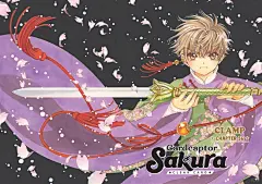 横1｜英文标题插图，魔卡少女樱透明牌 - 小红书