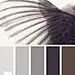 feathered tones