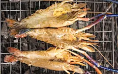 格子烤肉,煤,河流,对虾,钢铁,金属格栅,清新,手提炉,碳烤,食用大虾