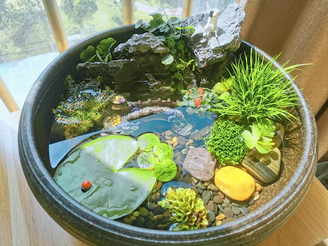 #古法养鱼#鱼缸的二次造景完工