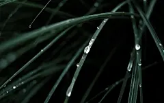 水滴壁纸