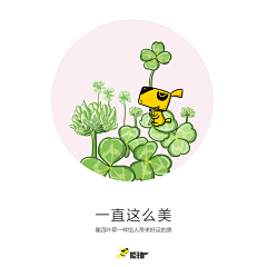 白二夕采集到折页
