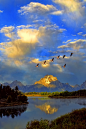 AmbientEntropy : ~AmbientEntropy~ Forget Labels. I enjoy whatever comes to mind. I love music (jazz, classical &...