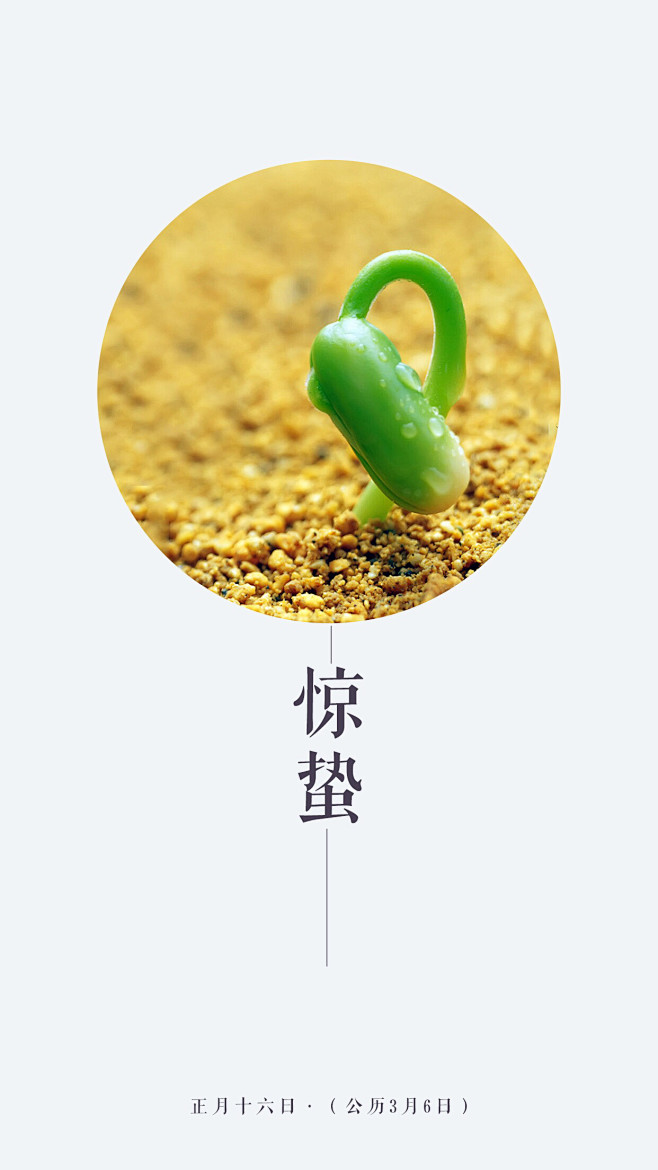 微雨众卉新，一雷惊蛰始。
