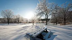 冬季唯美雪景图片壁纸
