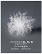 白鹅绒5