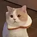 捏蘖