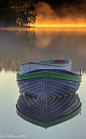 清晨的薄雾在海湾Rusky附近卡兰德，苏格兰。
Early morning mist at Loch Rusky near Callander, Scotland.