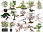 新中式景观树造型树竹子羽毛枫红枫植物SU模型sketchup设计素材库-淘宝网