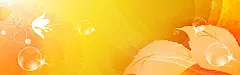 清新高光banner背景,海报banner,文艺,小清新,简约图库,png图片,网,图片素材,背景素材,50610@飞天胖虎