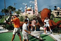和正男采集到Alex Webb