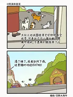 和好朋友在一起就不算是流浪_6_阿满和麦茶_来自小红书网页版