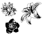 黑白花卉矢量素材
