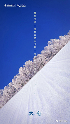 目黑莲MeguroRen采集到大雪