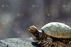 森林里的金属龟。长寿的象征。象征风水。