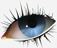 手绘眼睛免抠素材_新图网 https://ixintu.com 手绘 眼睛 长睫毛
