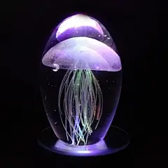 创意生日小礼物情人送闺蜜男女朋友老婆毕业纪念日新奇特别礼品-淘宝网