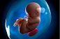 胎儿在子宫里的图片的搜索结果_百度图片搜索