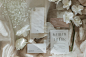 Sandstone Hand-Dyed Backdrop at a Romantic Calgary Elopement — The LOVLI Collection
